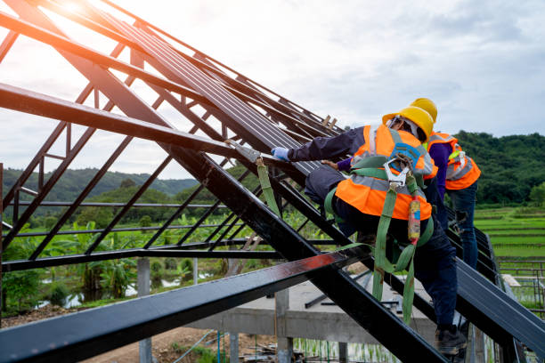Best Local Roofing Companies  in Ramseur, NC