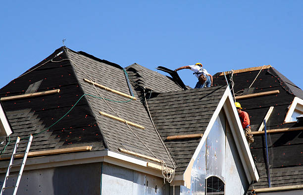 Best Roof Gutter Cleaning  in Ramseur, NC