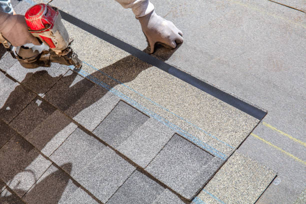 Best Roof Maintenance Services  in Ramseur, NC